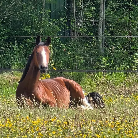 Chez Sam Et Brice Ubytování v soukromí *