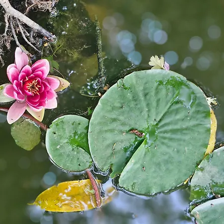 Chez Sam Et Brice Accommodatie bij particulieren *