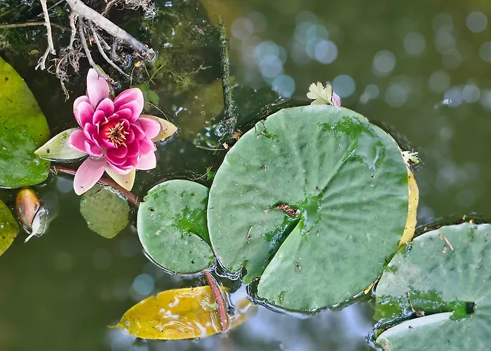 Chez Sam Et Brice Accommodatie bij particulieren *